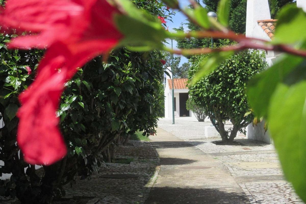 Aldeia Da Falesia Албуфейра Екстериор снимка